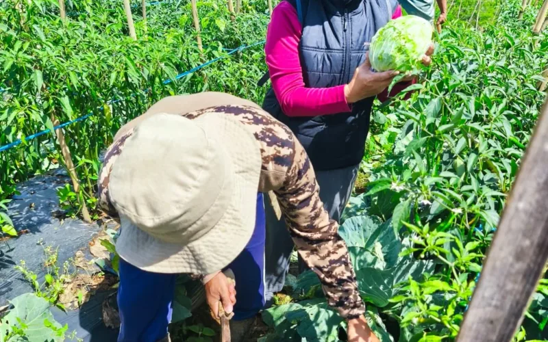 Karya nyata Seorang Srikandi Untuk Warga Kutawaringin Lewat Bumdes