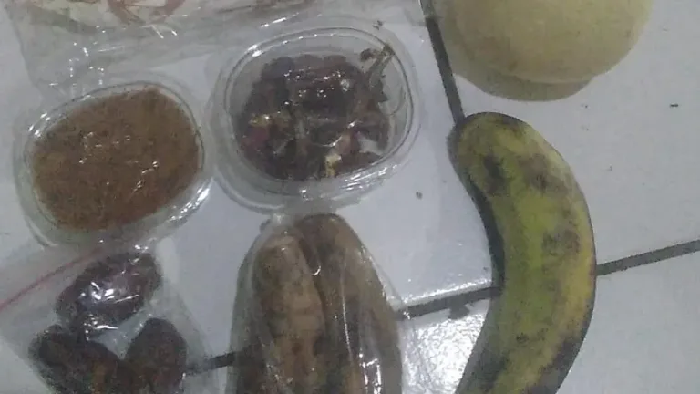 Menu MBG Di SDN muara 2 Jadi Perhatian Warga, Orang Tua Murid Soroti Komposisi Asupan Gizi