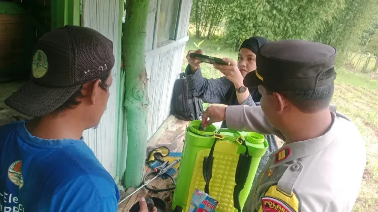 Polsek Leuwigoong Bersama Petani Lakukan Pengecekan Dan Perawatan Tanaman Jagung