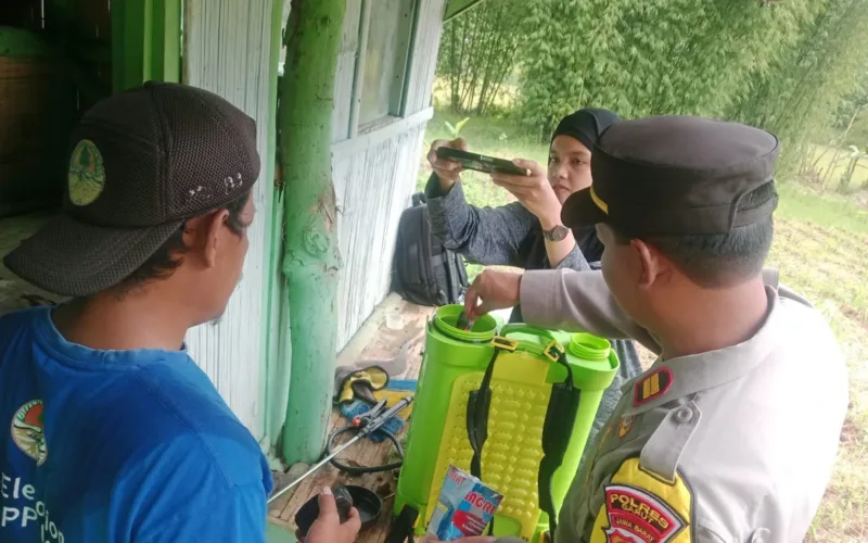 Polsek Leuwigoong Bersama Petani Lakukan Pengecekan Dan Perawatan Tanaman Jagung