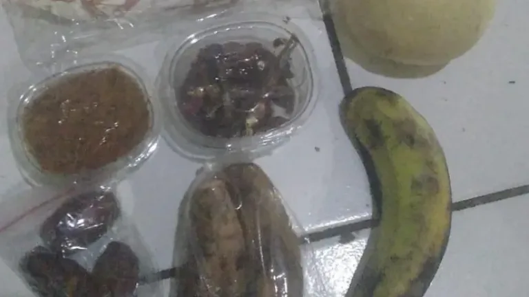 Menu Program Makanan Bergizi Gratis di SDN Muara 2 Jadi Perhatian Warga,Di Sorot Orang Tua Murid