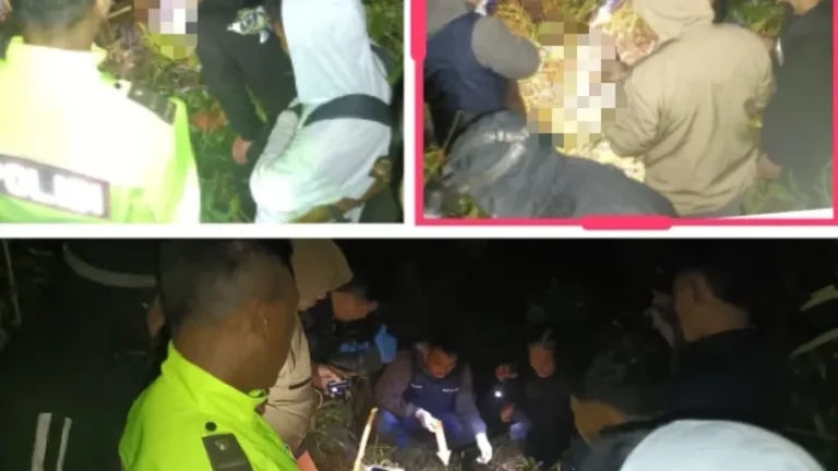Geger Penemuan Kerangka Manusia Di Hutan Banjarwangi, Polres Garut Lakukan Penyelidikan