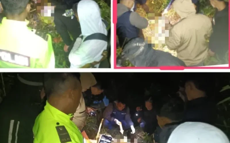 Geger Penemuan Kerangka Manusia Di Hutan Banjarwangi, Polres Garut Lakukan Penyelidikan