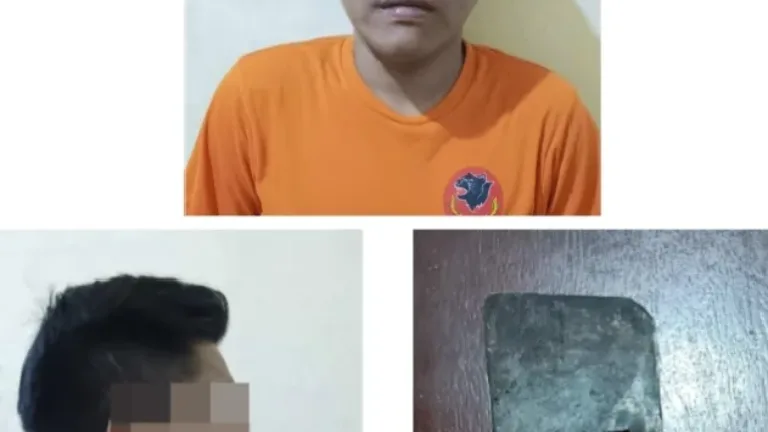Polsek Cikajang Polres Garut Amankan Pelaku Penganiayaan