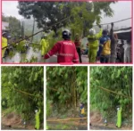 Polsek Kadungora Sigap Tangani Pohon Tumbang Akibat Cuaca Ekstrim