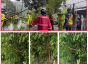 Polsek Kadungora Sigap Tangani Pohon Tumbang Akibat Cuaca Ekstrim