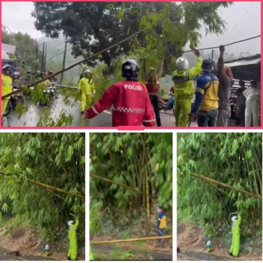 Polsek Kadungora Sigap Tangani Pohon Tumbang Akibat Cuaca Ekstrim