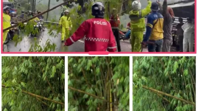 Polsek Kadungora Sigap Tangani Pohon Tumbang Akibat Cuaca Ekstrim
