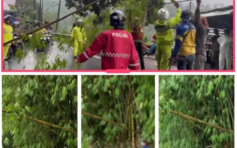 Polsek Kadungora Sigap Tangani Pohon Tumbang Akibat Cuaca Ekstrim