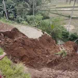 Longsor Terjang Area Persawahan Di Lingasari Malangbong