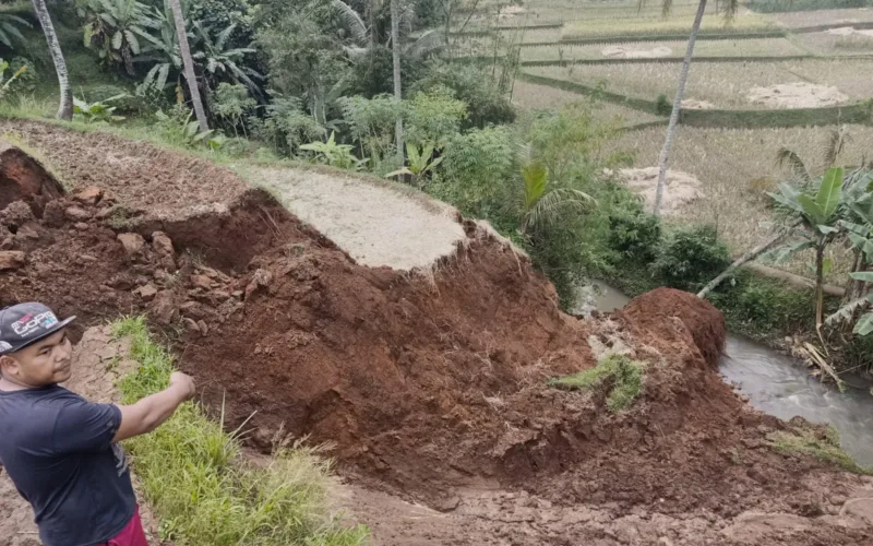 Longsor Terjang Area Persawahan Di Lingasari Malangbong