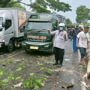 Hujan Lebat Dan Angin Kencang, Jalur Nasional Lumpuh Total