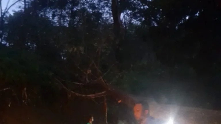 Polsek Cisompet Evakuasi Pohon Tumbang Yang Sempat Tutup Akses Jalan