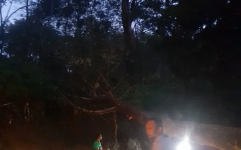 Polsek Cisompet Evakuasi Pohon Tumbang Yang Sempat Tutup Akses Jalan