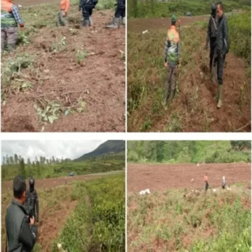 Kebun Negara Dirusak? Humas Cisaruni Minta Aparat Turun Tangan, Pekerja Merasa Terancam