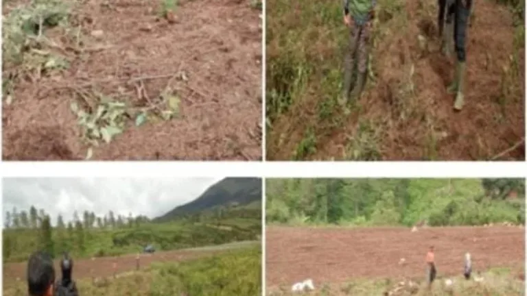 Kebun Negara Dirusak? Humas Cisaruni Minta Aparat Turun Tangan, Pekerja Merasa Terancam