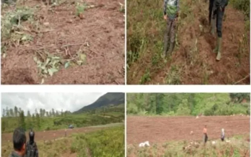 Kebun Negara Dirusak? Humas Cisaruni Minta Aparat Turun Tangan, Pekerja Merasa Terancam