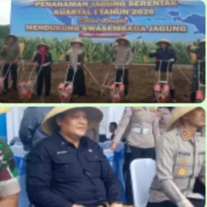 Dedi Mulyadi Apresiasi Penanaman Jagung Serentak Kuartal I 2026, Dukung Swasembada Jagung