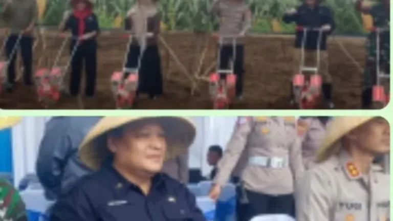 Dedi Mulyadi Apresiasi Penanaman Jagung Serentak Kuartal I 2026, Dukung Swasembada Jagung