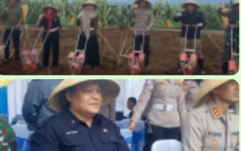 Dedi Mulyadi Apresiasi Penanaman Jagung Serentak Kuartal I 2026, Dukung Swasembada Jagung