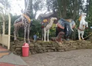 Taman Satwa Cikembulan: Rekreasi Edukatif Kebanggan Masarakat Garut
