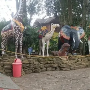 Taman Satwa Cikembulan: Rekreasi Edukatif Kebanggan Masarakat Garut