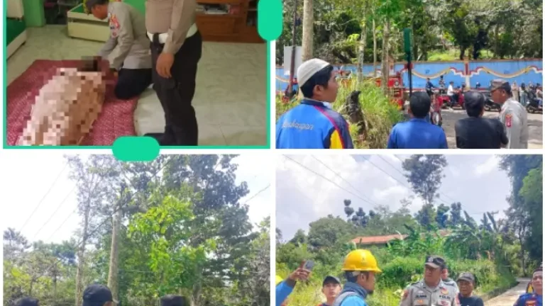Polisi Ungkap Pria Tewas Tersengat Listrik Saat Tebang Pohon di Garut