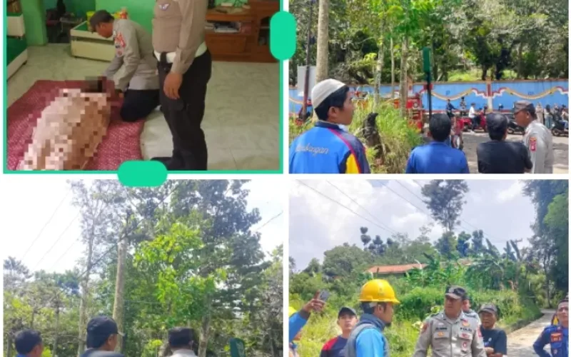 Polisi Ungkap Pria Tewas Tersengat Listrik Saat Tebang Pohon di Garut