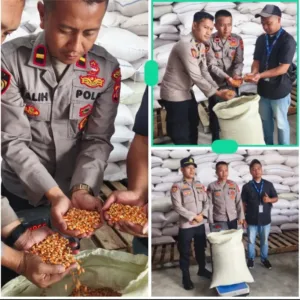 Sinergi Polres Garut dan Petani, 15,25 Ton Jagung Diserap Bulog untuk Perkuat Ketahanan Pangan