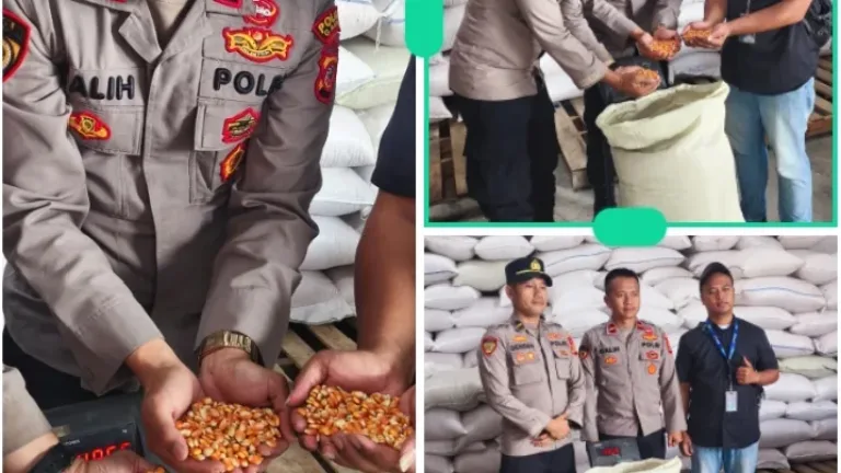 Sinergi Polres Garut dan Petani, 15,25 Ton Jagung Diserap Bulog untuk Perkuat Ketahanan Pangan