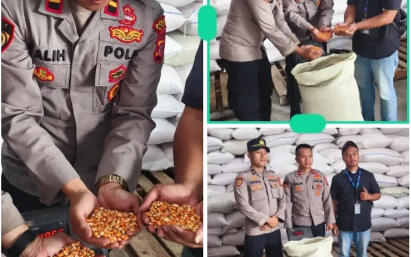 Sinergi Polres Garut dan Petani, 15,25 Ton Jagung Diserap Bulog untuk Perkuat Ketahanan Pangan