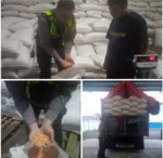 Sinergi Polri dan Petani, 5 Ton Jagung Garut Siap Perkuat Stok Pangan Nasional