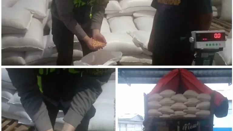 Sinergi Polri dan Petani, 5 Ton Jagung Garut Siap Perkuat Stok Pangan Nasional
