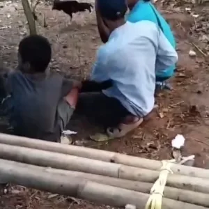 Sabung Ayam di Dusun Peo Desa Belabori Parangloe Gowa Marak Diduga Kebal Hukum Bekingannya TNI Dan Polisi