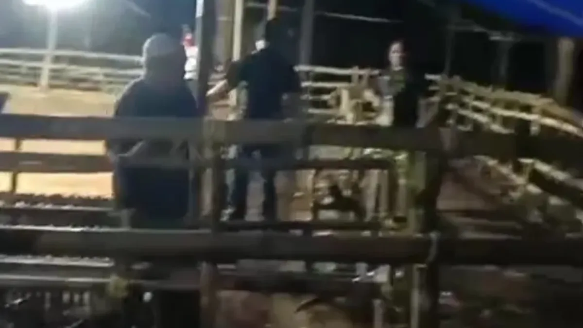 Team Jatanras Polres Gowa Berhasil Lakukan Penggerebekan Arena Judi Sabung Ayam, Bola Guling dan Dadu di Desa Belabori Parangloe Gowa