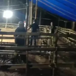 Team Jatanras Polres Gowa Berhasil Lakukan Penggerebekan Arena Judi Sabung Ayam, Bola Guling dan Dadu di Desa Belabori Parangloe Gowa