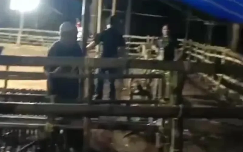 Team Jatanras Polres Gowa Berhasil Lakukan Penggerebekan Arena Judi Sabung Ayam, Bola Guling dan Dadu di Desa Belabori Parangloe Gowa