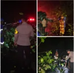Respons Cepat Polsek Malangbong,Evakuasi Pohon Tumbang di Jalur Nasional Limbangan
