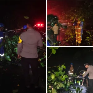 Respons Cepat Polsek Malangbong,Evakuasi Pohon Tumbang di Jalur Nasional Limbangan