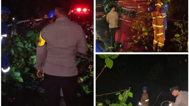 Respons Cepat Polsek Malangbong,Evakuasi Pohon Tumbang di Jalur Nasional Limbangan