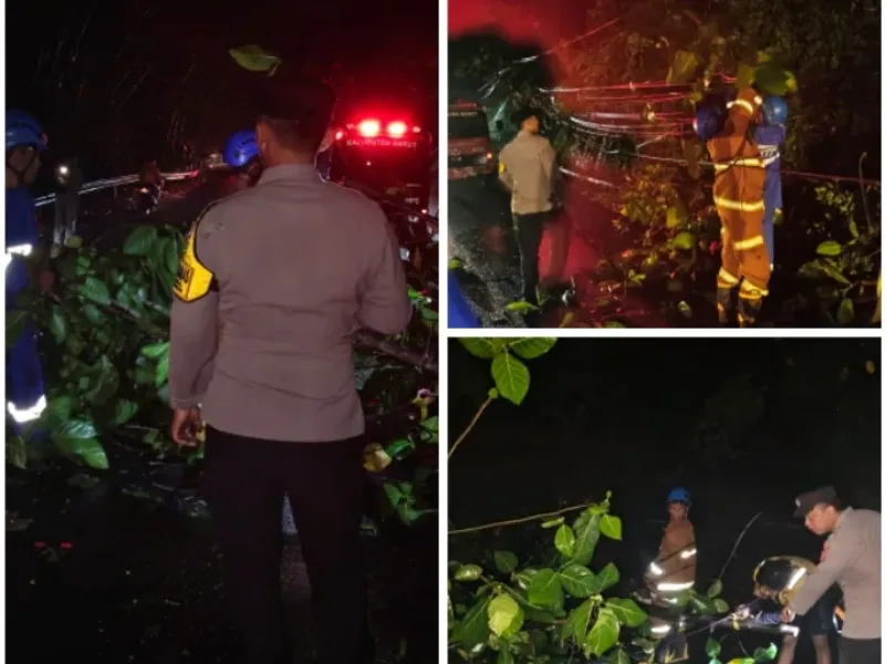 Respons Cepat Polsek Malangbong,Evakuasi Pohon Tumbang di Jalur Nasional Limbangan