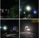 Gerak Cepat!! Polisi Tangani Pohon Tumbang dan Longsor, Arus Lalu Lintas Kembali Normal
