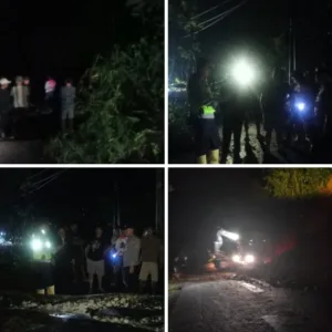 Gerak Cepat!! Polisi Tangani Pohon Tumbang dan Longsor, Arus Lalu Lintas Kembali Normal