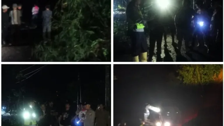 Gerak Cepat!! Polisi Tangani Pohon Tumbang dan Longsor, Arus Lalu Lintas Kembali Normal