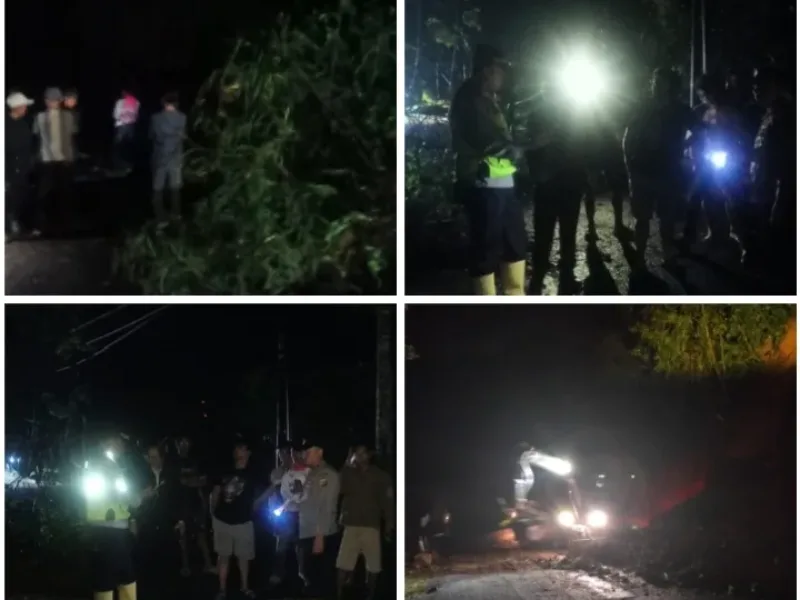 Gerak Cepat!! Polisi Tangani Pohon Tumbang dan Longsor, Arus Lalu Lintas Kembali Normal