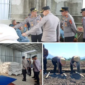 Kapolres Garut Pimpin Penanaman Jagung di Leles, Wujud Nyata Dukung Swasembada Pangan 2026