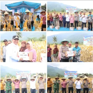 Polres Garut Gelar Panen Raya Jagung Serentak, Wujud Nyata Dukung Swasembada Pangan Nasional 2026