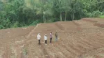 Polres Garut Sulap Lahan Tidak Produktif Jadi Kebun Jagung 1 Hektare, Dukung Ketahanan Pangan