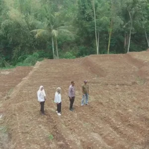Polres Garut Sulap Lahan Tidak Produktif Jadi Kebun Jagung 1 Hektare, Dukung Ketahanan Pangan