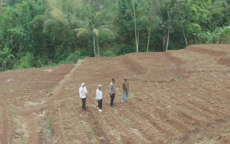 Polres Garut Sulap Lahan Tidak Produktif Jadi Kebun Jagung 1 Hektare, Dukung Ketahanan Pangan